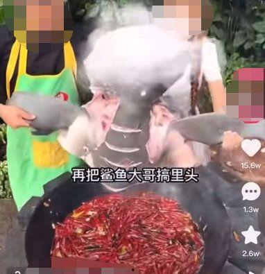 爆料网红提子视频下载,独家攻略大公开！