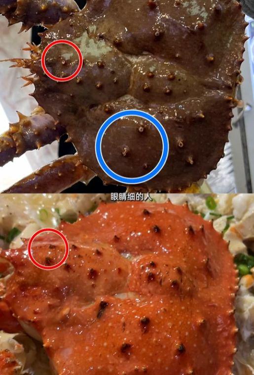 海鲜爆料博主有哪些呢视频,揭秘海鲜界的那些事儿  第3张